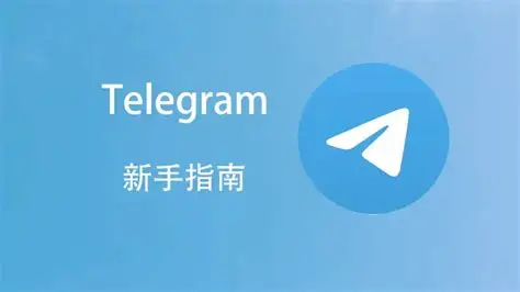 Telegram媒体分享与保存功能对比：自动下载VS手动收藏